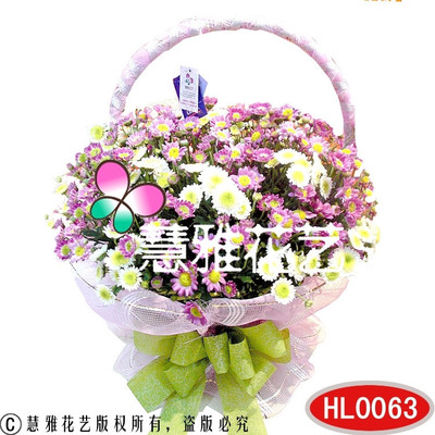 小雛菊花籃 一抹淡雅花語(yǔ)，織就你心動(dòng)瞬間的生活序詩(shī)