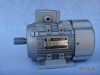 Y系列電機_浙江瑞安市興特電機制造_