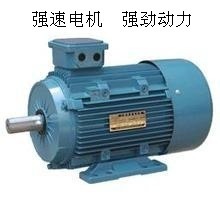 【廠家批發(fā)三相異步電動機Y180L-6 15KW 系列電機國標 全銅線】價格,廠家,圖片,其他電動機,臺州市強速電機制造-
